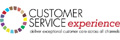 Customer Service Experience 2013